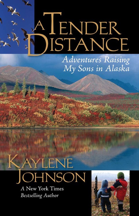 Cover image for book A Tender Distance