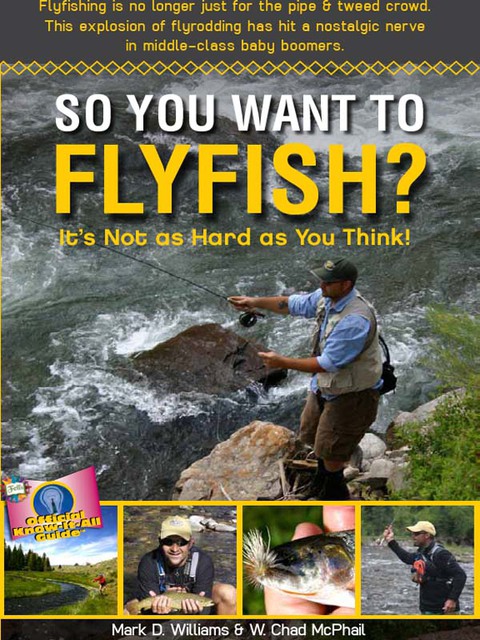 Cover image for book So You Want To Flyfish?
