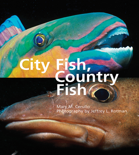 Cover image for book City Fish, Country Fish