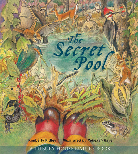 Cover image for book The Secret Pool