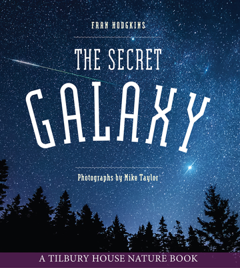 Cover image for book The Secret Galaxy