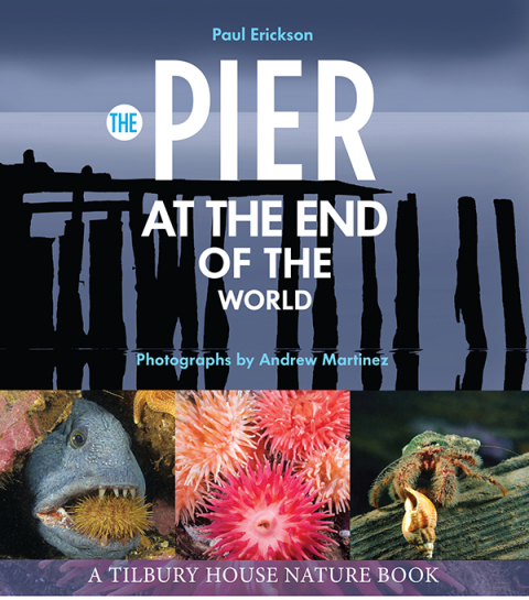 Cover image for book The Pier at the End of the World