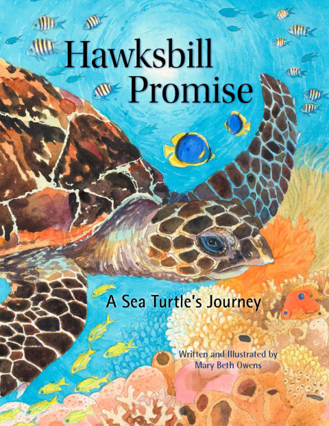Cover image for book Hawksbill Promise