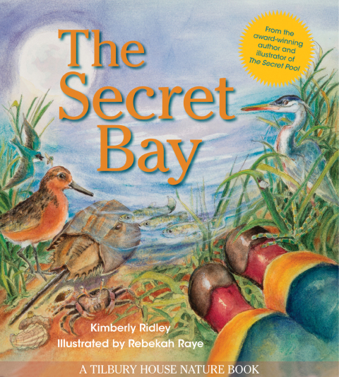 Cover image for book The Secret Bay