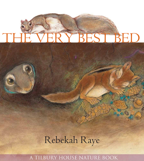 Cover image for book The Very Best Bed
