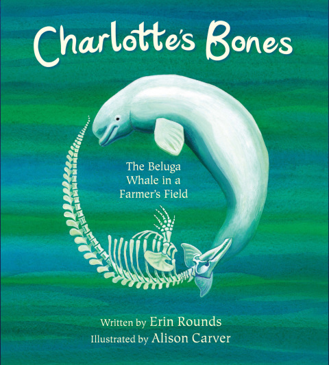 Cover image for book Charlotte's Bones