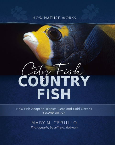 Cover image for book City Fish Country Fish