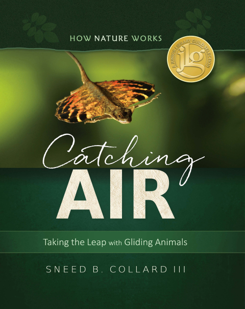 Cover image for book Catching Air