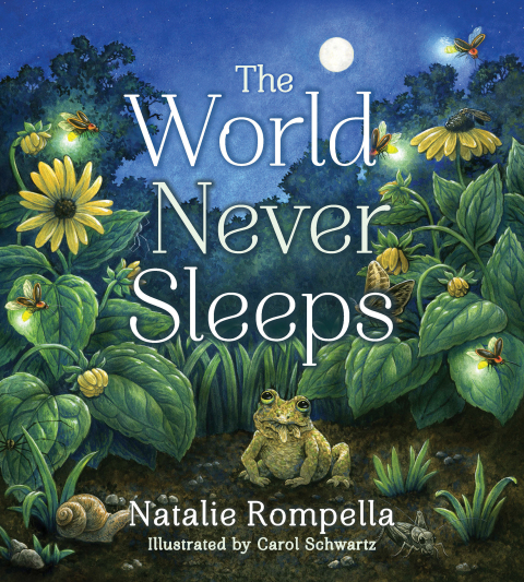 Cover image for book The World Never Sleeps