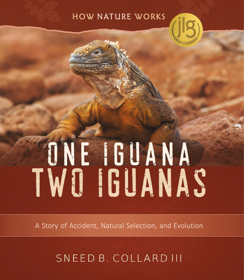Cover image for book One Iguana, Two Iguanas