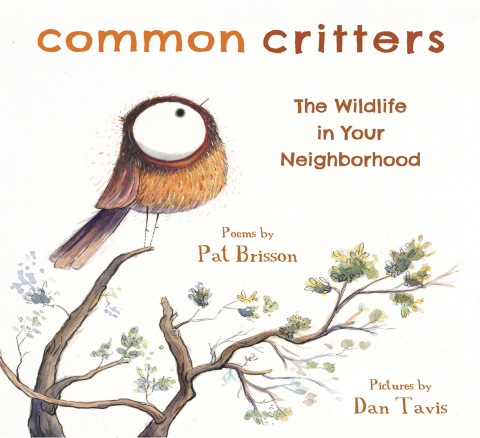 Cover image for book Common Critters