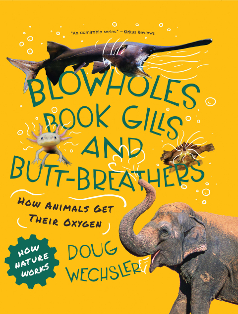 Cover image for book Blowholes, Book Gills, and Butt-Breathers