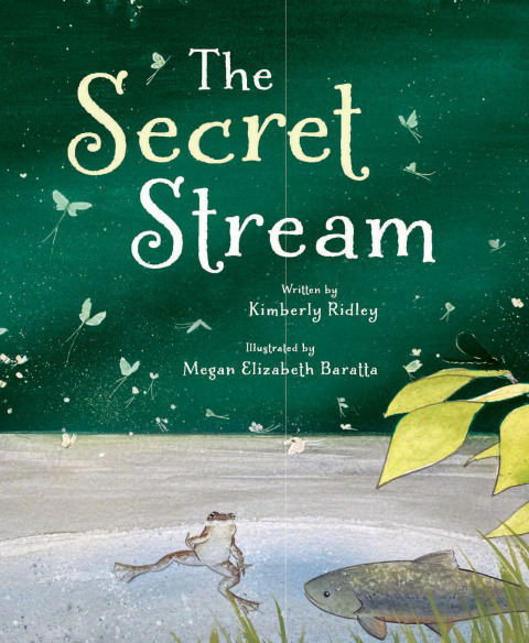 Cover image for book The Secret Stream