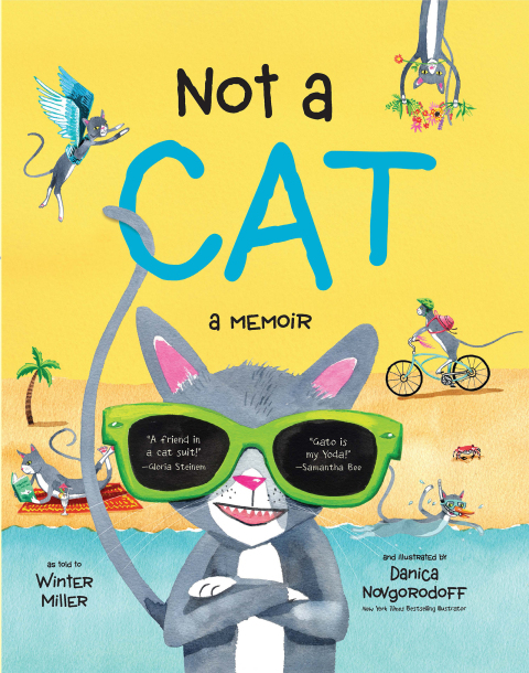 Cover image for book Not a Cat