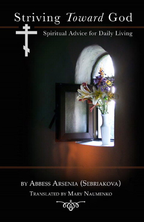 Cover image for book Striving Toward God