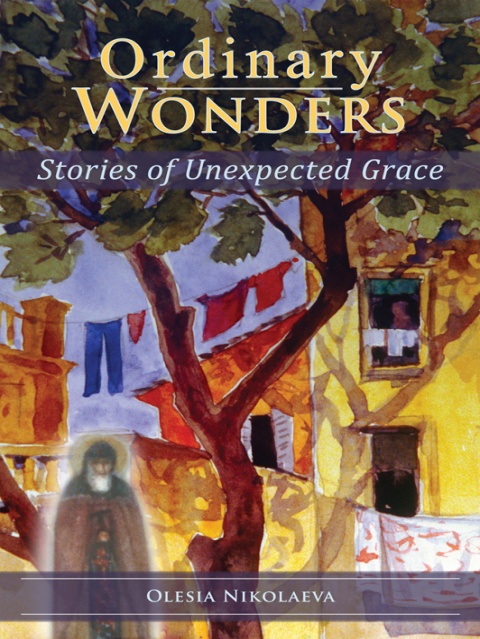 Cover image for book Ordinary Wonders