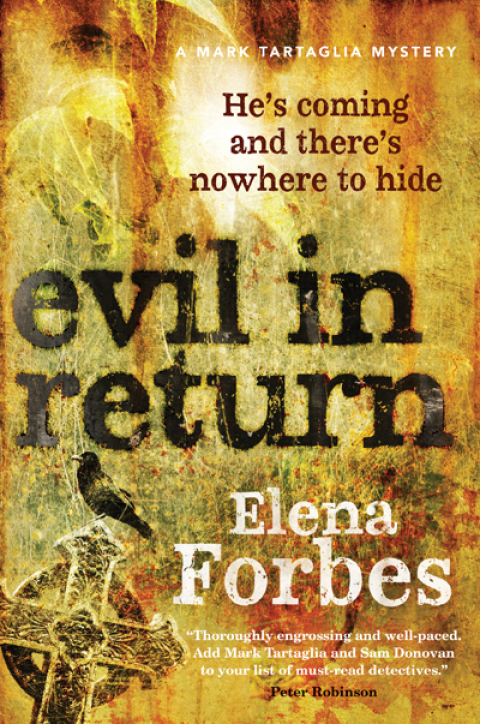 Cover image for book Evil in Return