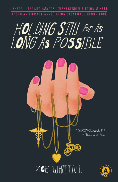 Cover image for book Holding Still For As Long As Possible