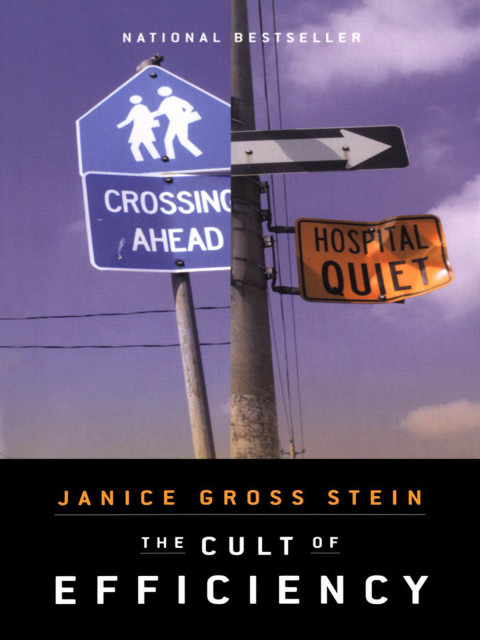 Cover image for book The Cult of Efficiency