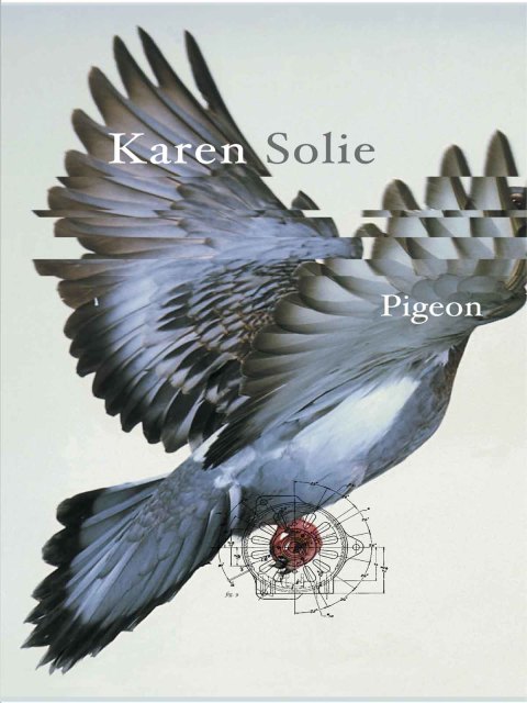 Cover image for book Pigeon