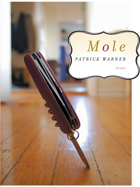 Cover image for book Mole