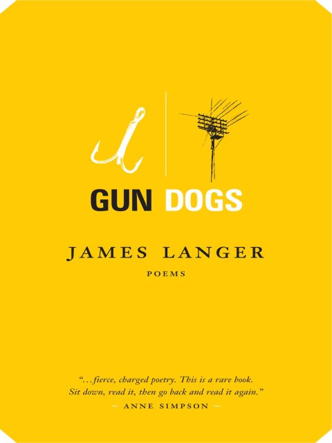 Cover image for book Gun Dogs
