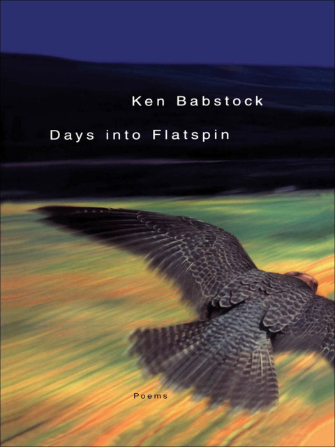 Cover image for book Days Into Flatspin