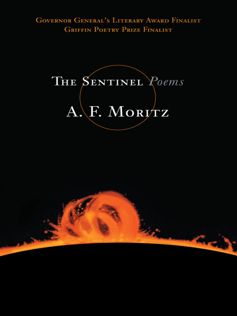 Cover image for book The Sentinel