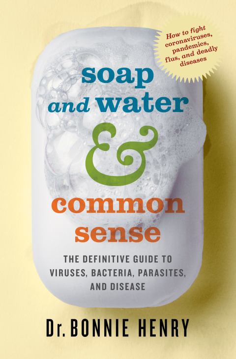 Cover image for book Soap and Water & Common Sense