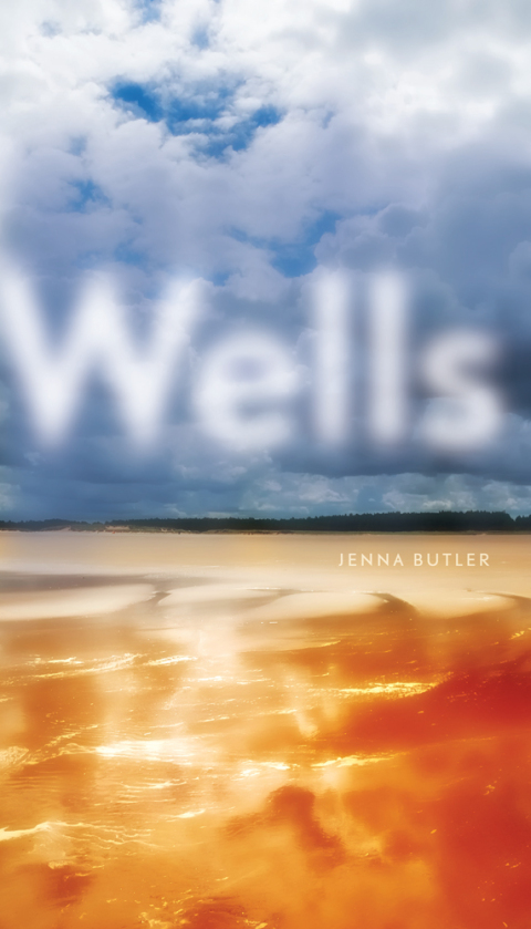 Cover image for book Wells