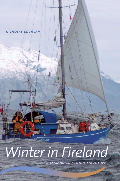 Cover image for book Winter in Fireland