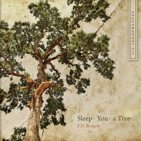 Cover image for book Apostrophes VII