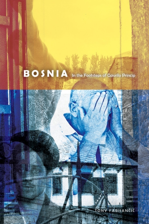 Cover image for book Bosnia