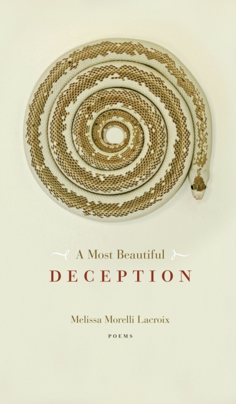 Cover image for book A Most Beautiful Deception