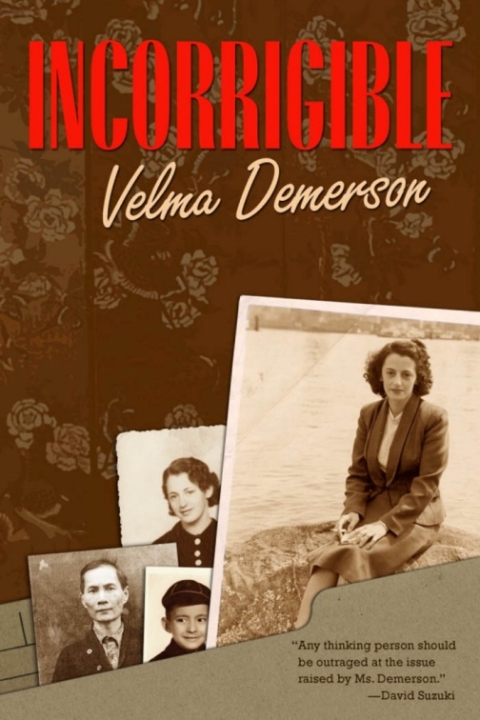 Cover image for book Incorrigible
