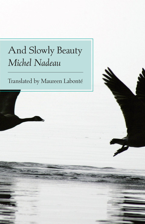 Cover image for book And Slowly Beauty