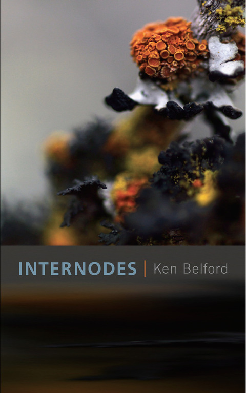 Cover image for book Internodes