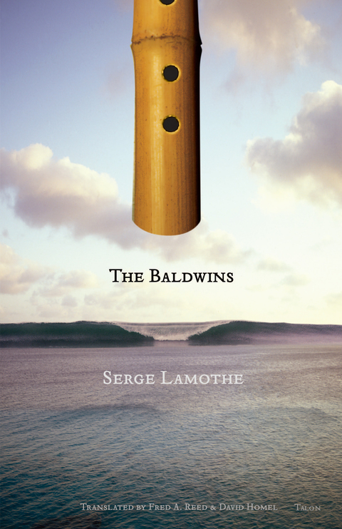 Cover image for book The Baldwins Ebook
