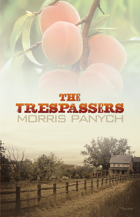 Cover image for book The Trespassers