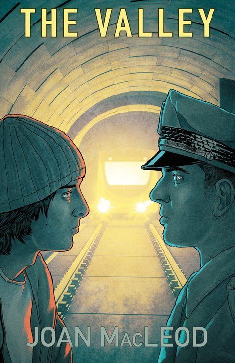 Cover image for book The Valley