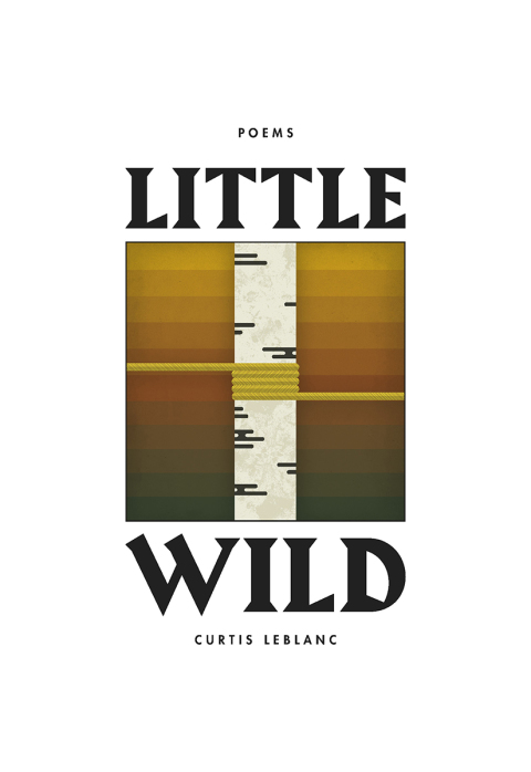 Cover image for book Little Wild