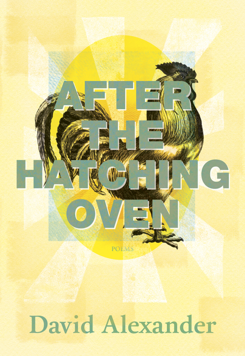 Cover image for book After the Hatching Oven