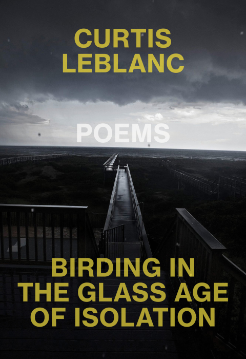 Cover image for book Birding in the Glass Age of Isolation