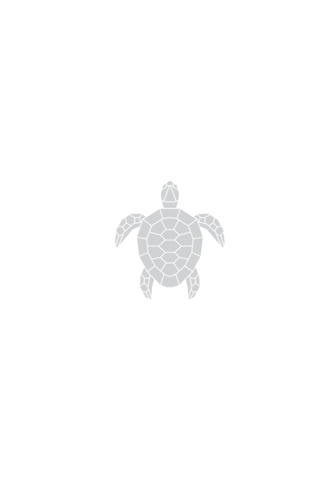 Cover image for book Performing Turtle Island