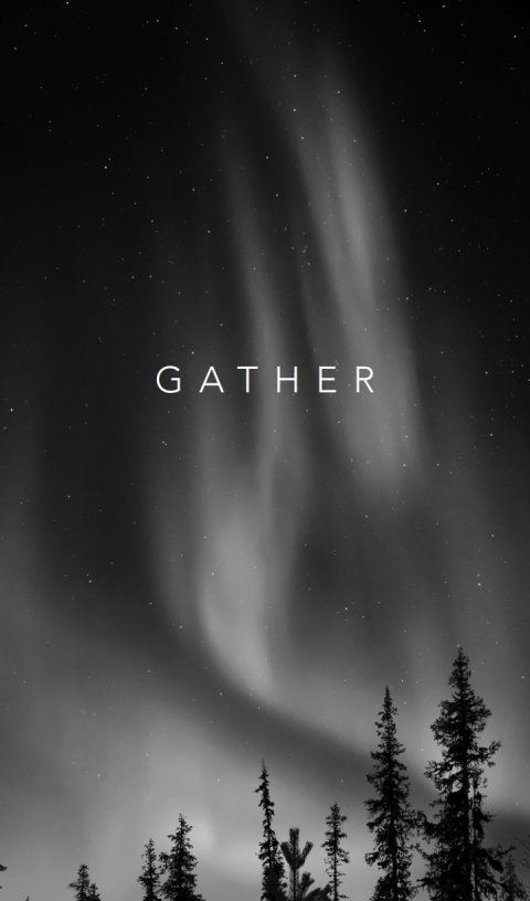 Cover image for book Gather