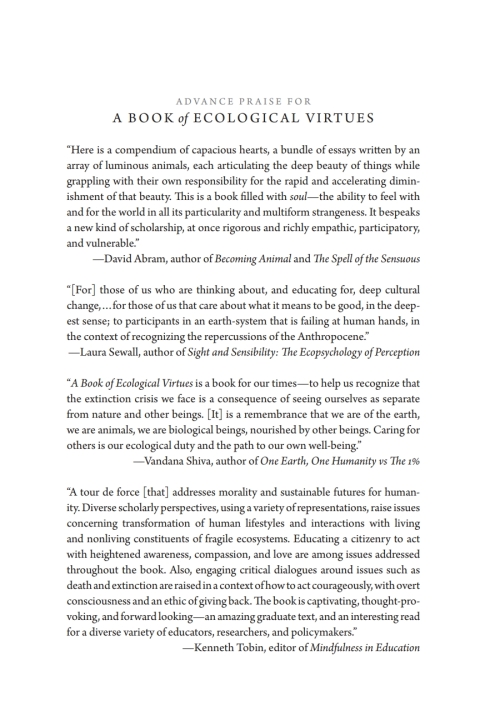 Cover image for book A Book of Ecological Virtues