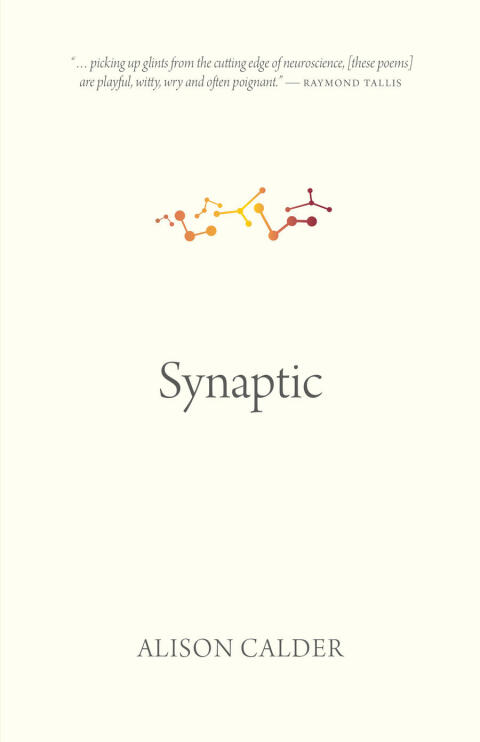 Synaptic 