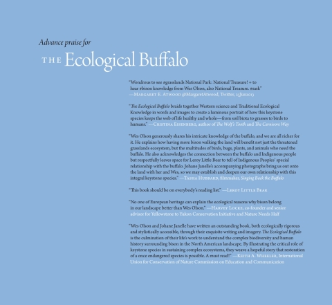 Cover image for book The Ecological Buffalo