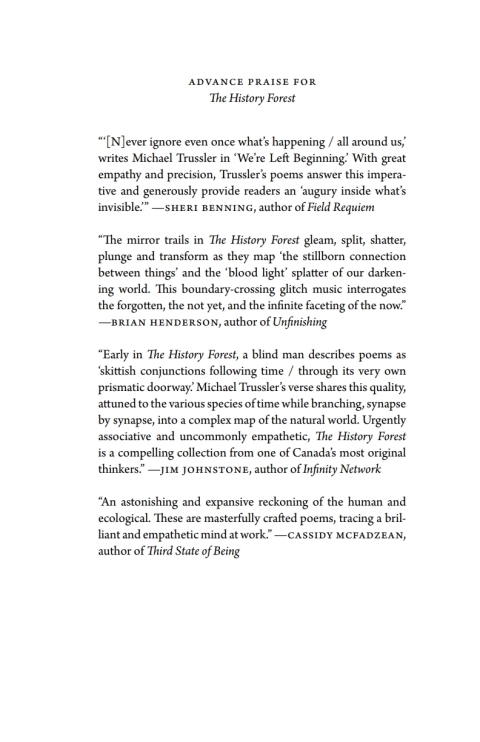 Cover image for book The History Forest