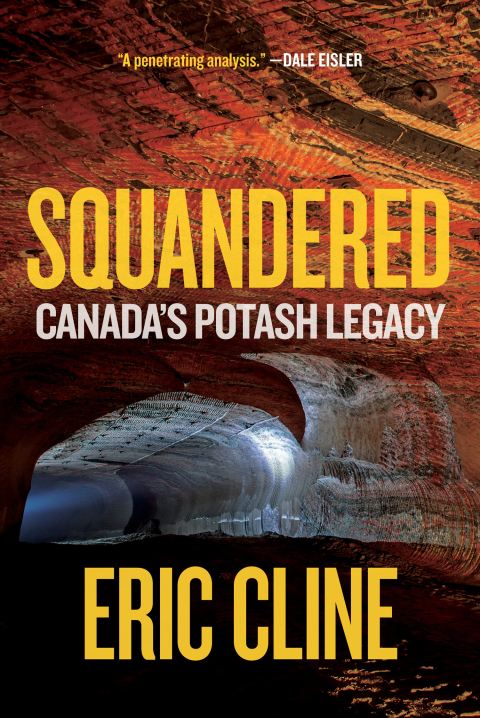 Cover image for book Squandered